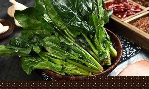 菠菜大全(菠菜大全菜谱名字) (7)